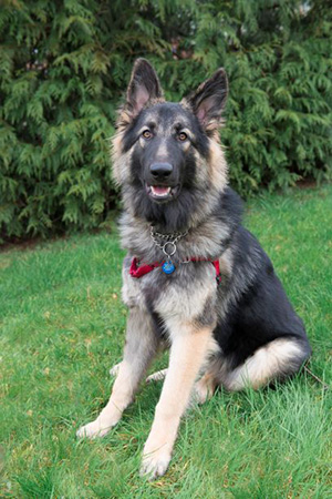 Team Members Team Members