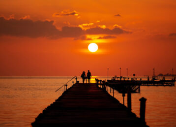 Wealth Management Services