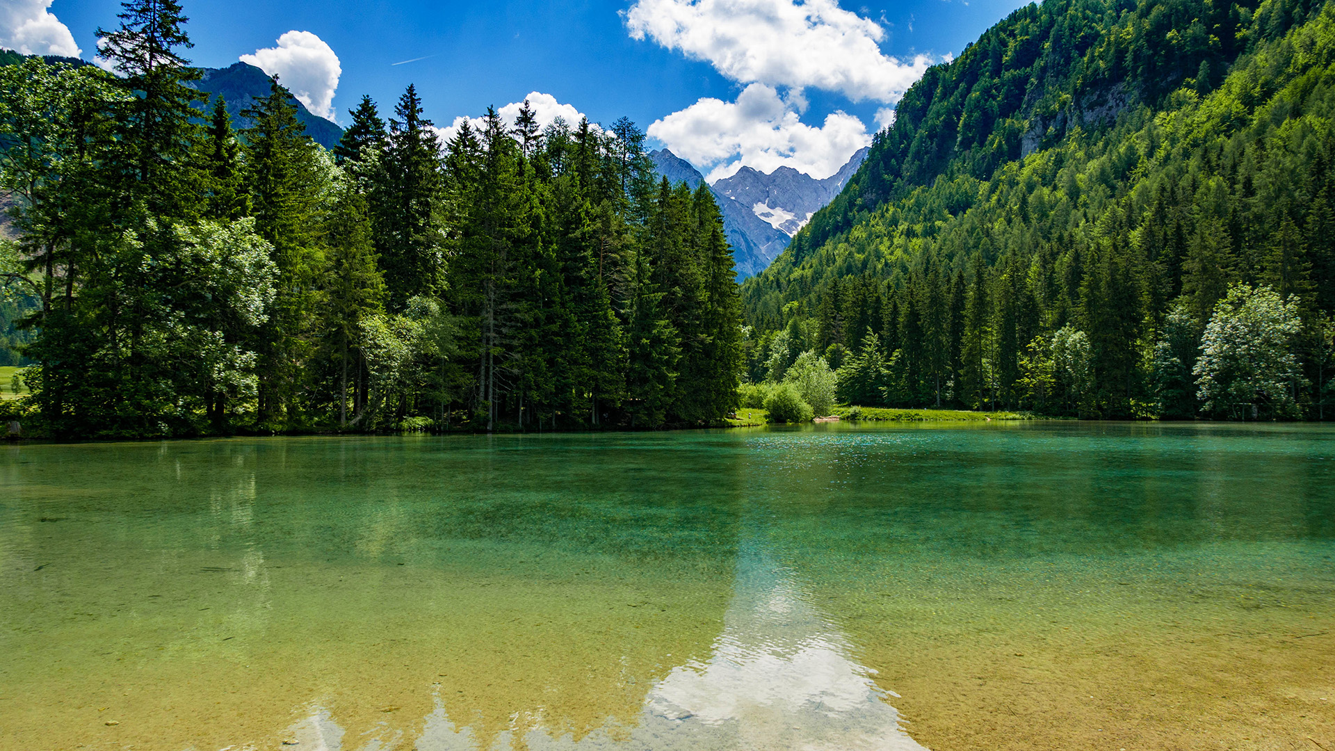 Referral Program Referral Program