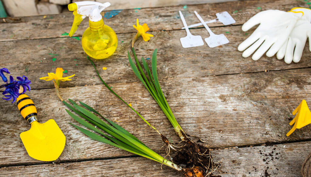 Spring Clean Your Finances Spring Clean Your Finances