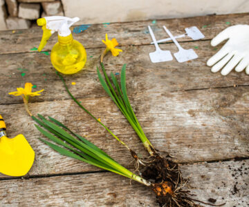 Spring Clean Your Finances