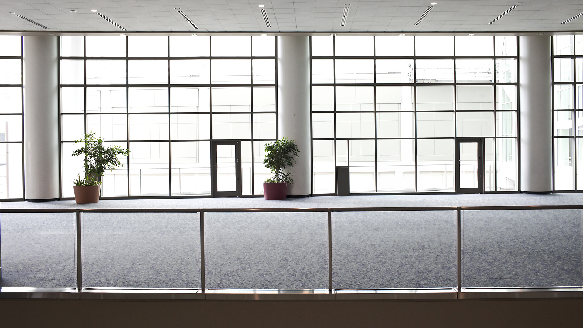 Town Hall Sept Christine Lam